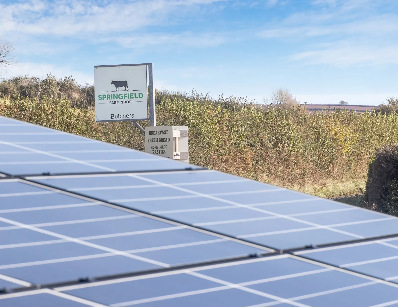 Solar panels on the farm