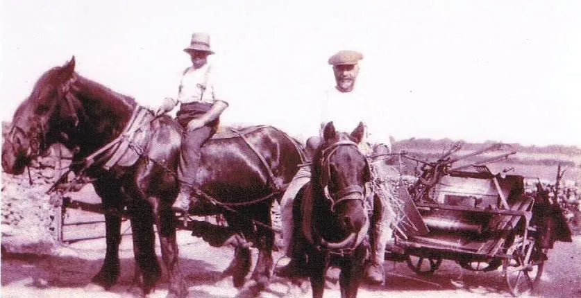 Archive photograph of T. H. Tucker and son with horses and cart