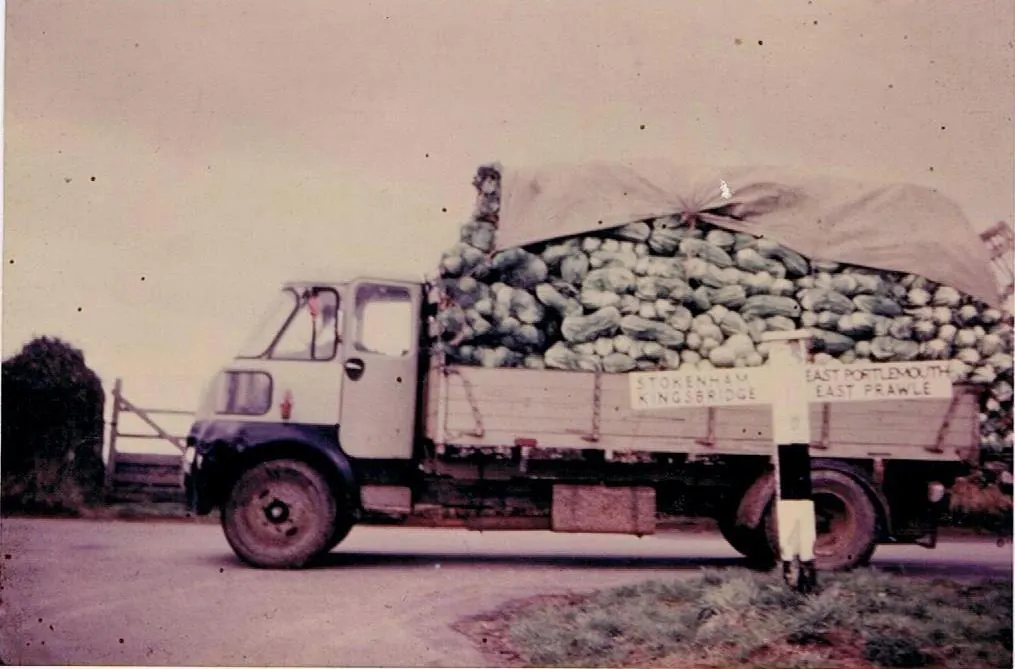 Archive photograph of a lorry piled with freshly cut cauliflowers