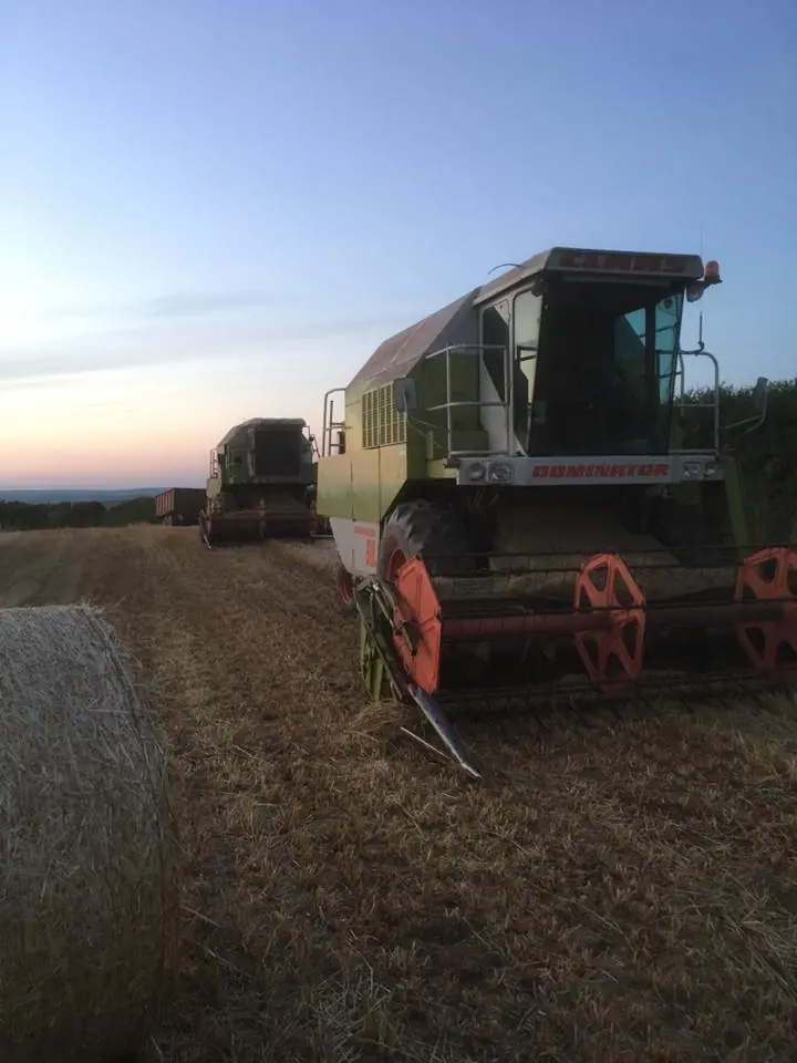 A combine harvester at work in the evening