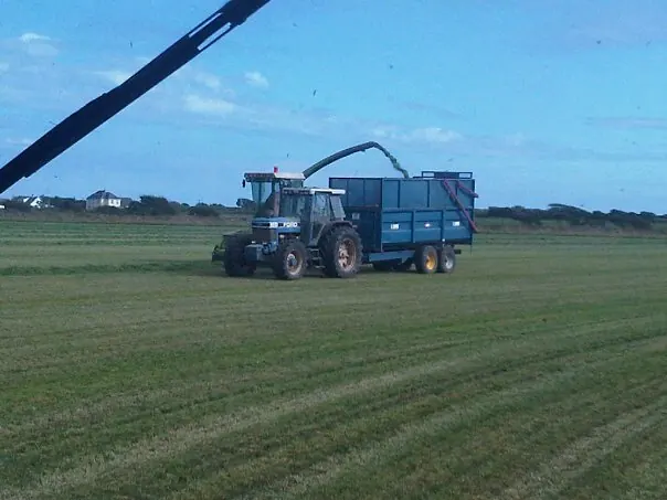 A tractor and trailer making silage