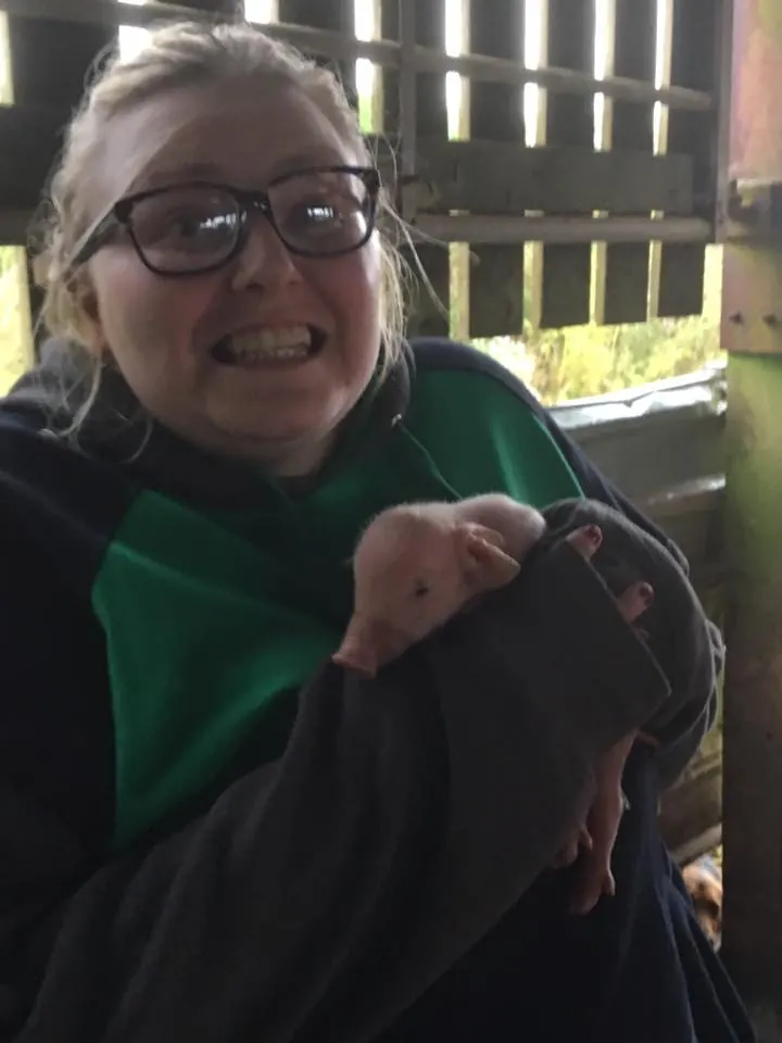 Holding a newborn piglet at Springfield Farm