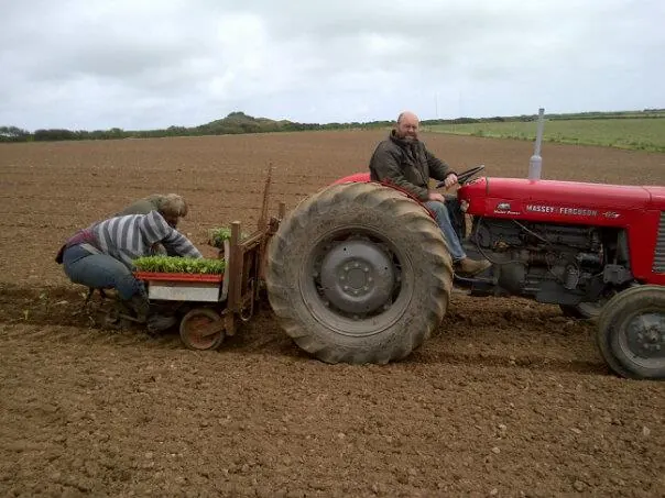 A red tractor planting vegetables