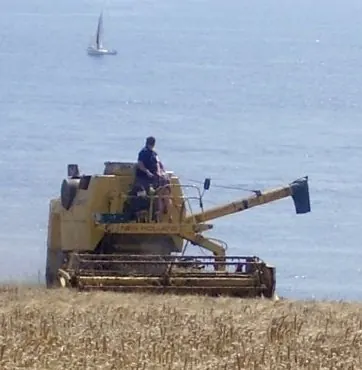 A combine harvester with the sea behind it