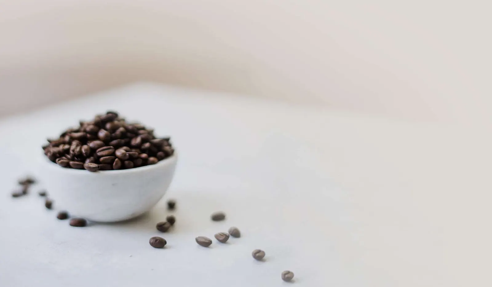 A small bowl of coffee beans